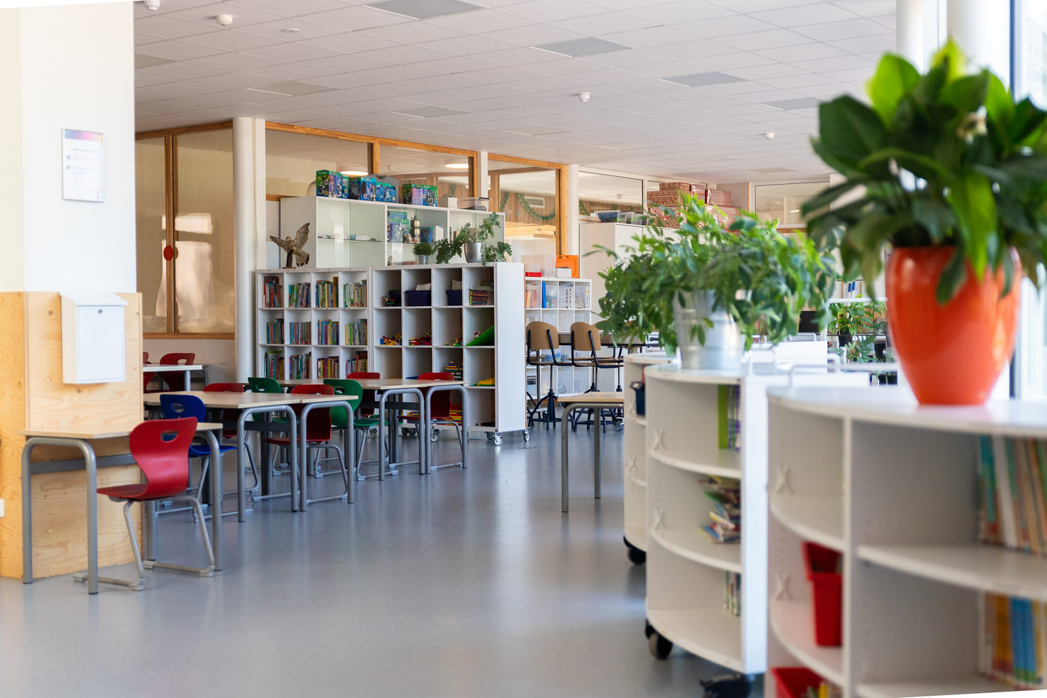 Basisschool Wonderwijs